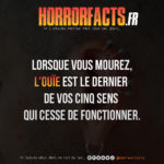 Fact 0003 - Horreur Fact Horrorfacts.fr