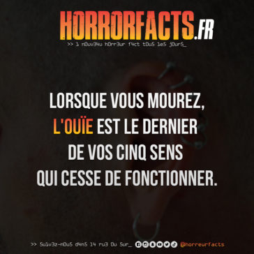 Fact 0003 - Horreur Fact Horrorfacts.fr