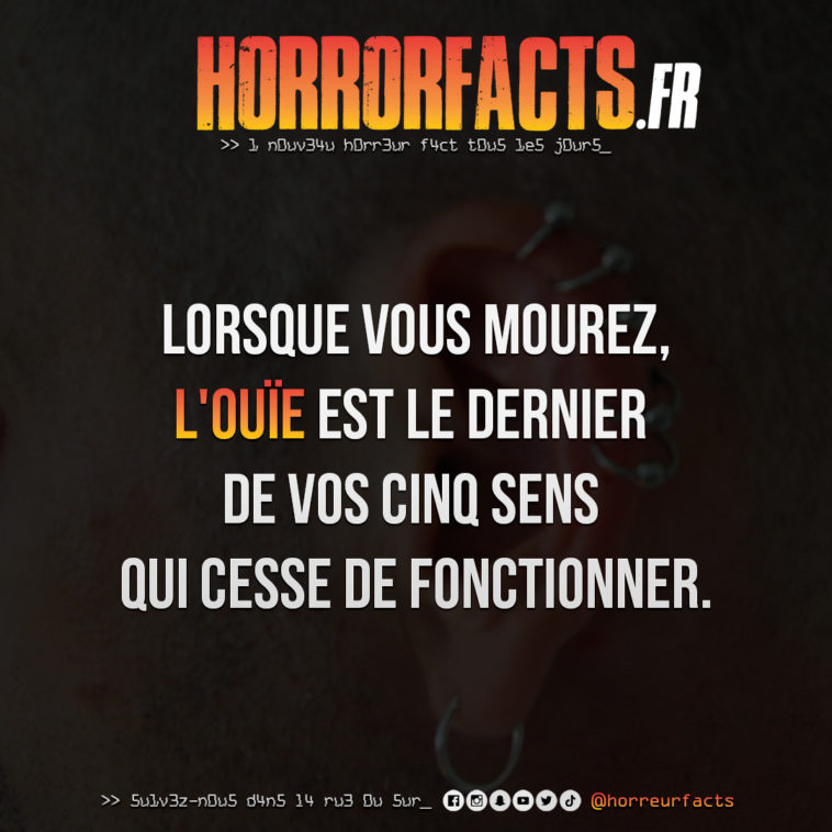Fact 0003 - Horreur Fact Horrorfacts.fr