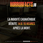 Fact 0005 - Horreur Fact Horrorfacts.fr