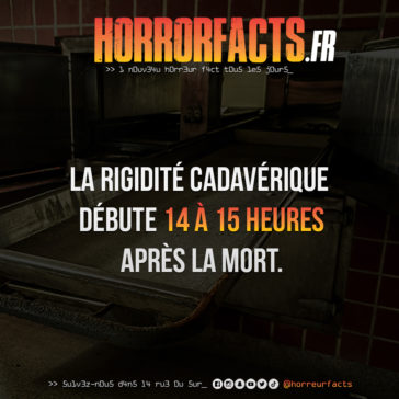 Fact 0005 - Horreur Fact Horrorfacts.fr