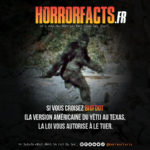 Fact 0019 - Horreur Fact Horrorfacts.fr