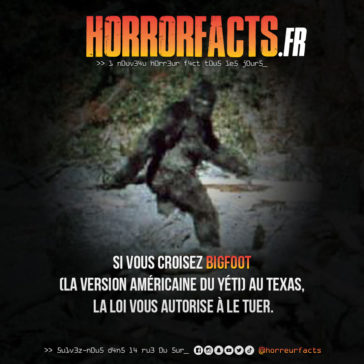 Fact 0019 - Horreur Fact Horrorfacts.fr