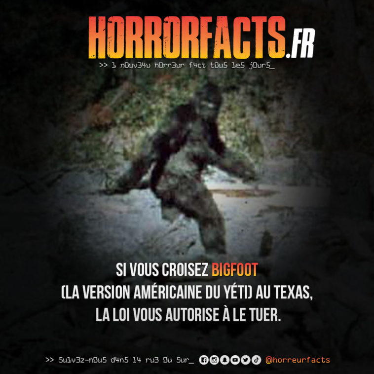 Fact 0019 - Horreur Fact Horrorfacts.fr