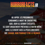 Fact 0020 - Horreur Fact Horrorfacts.fr