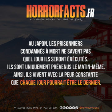 Fact 0020 - Horreur Fact Horrorfacts.fr