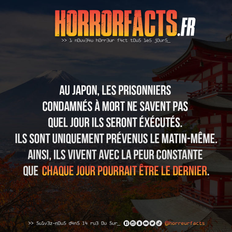 Fact 0020 - Horreur Fact Horrorfacts.fr