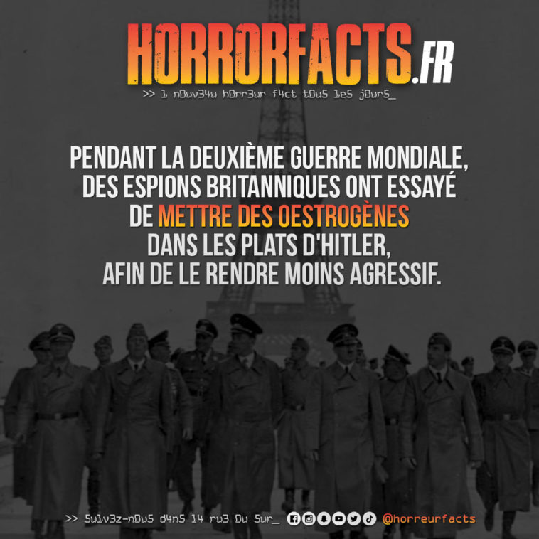 Fact 0027 - Horreur Fact Horrorfacts.fr