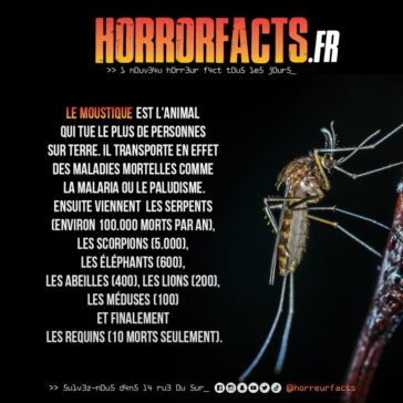 Fact 0028 - Horreur Fact Horrorfacts.fr