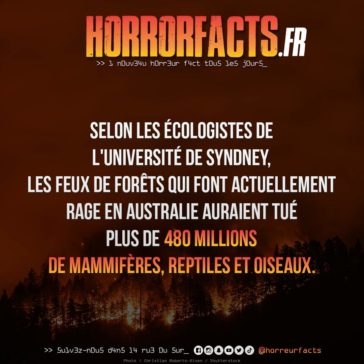 Fact 0031 - Horreur Fact Horrorfacts.fr