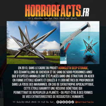 Fact 0035 - Horreur Fact Horrorfacts.fr