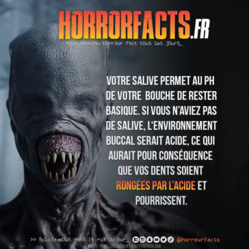 Fact 0040 - Horreur Fact Horrorfacts.fr