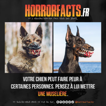 Fact 0054 - Horreur Fact Horrorfacts.fr