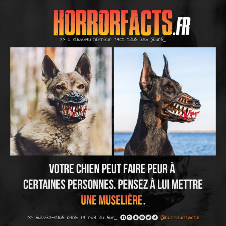 Fact 0054 - Horreur Fact Horrorfacts.fr