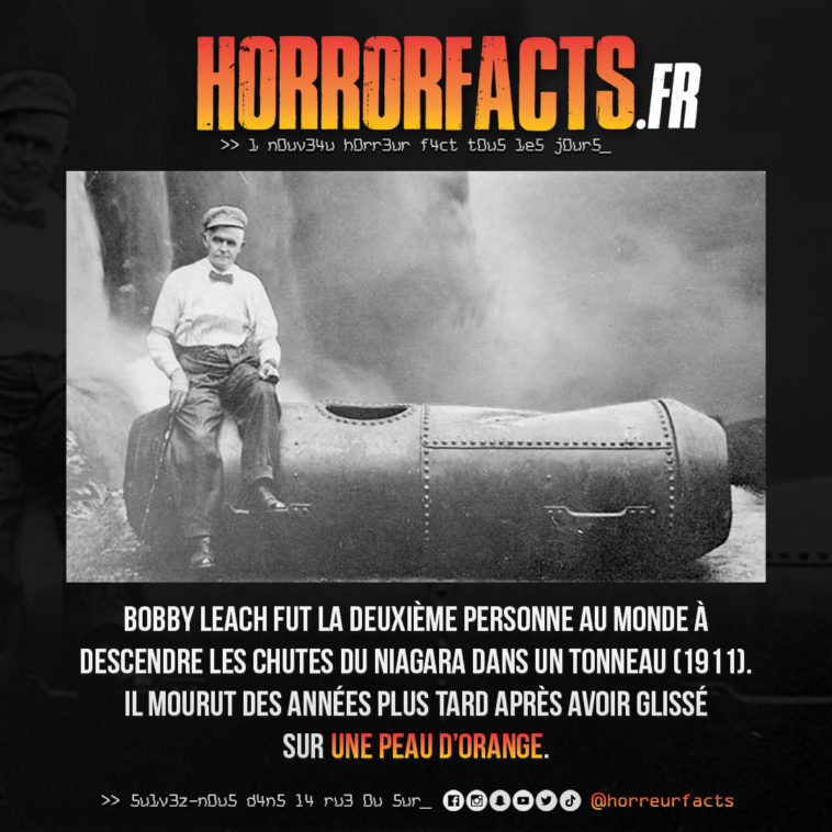 Fact 0062 - Horreur Fact Horrorfacts.fr