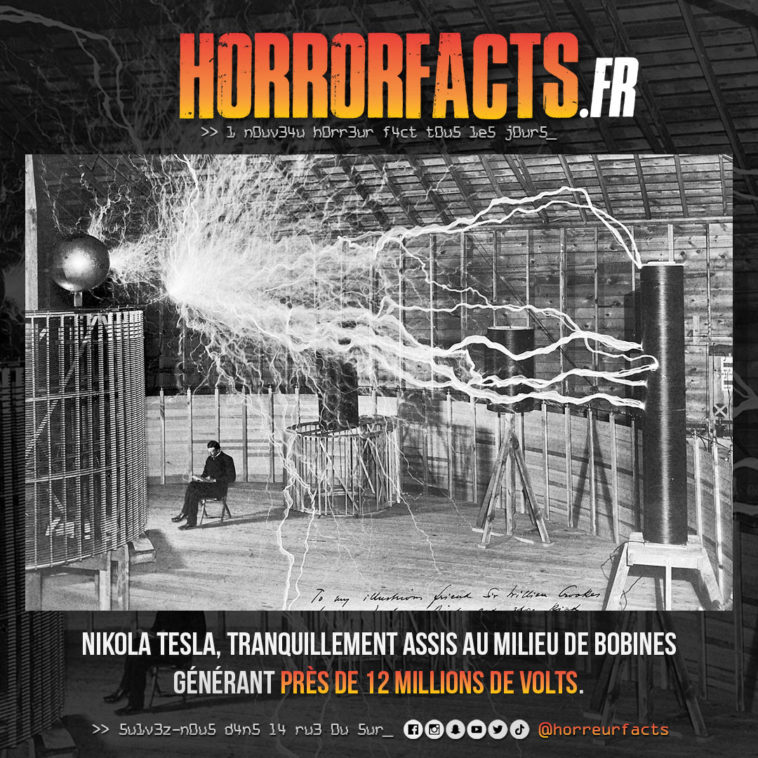 Fact 0065 - Horreur Fact Horrorfacts.fr