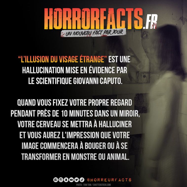 Fact 0079 - Horreur Fact Horrorfacts.fr
