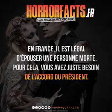 Fact 0081 - Horreur Fact Horrorfacts.fr