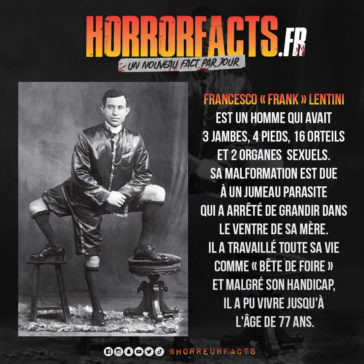 Fact 0089 - Horreur Fact Horrorfacts.fr