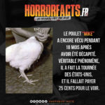 Fact 0094 - Horreur Fact Horrorfacts.fr