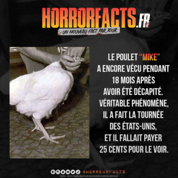 Fact 0094 - Horreur Fact Horrorfacts.fr