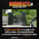 Fact 0095 - Horreur Fact Horrorfacts.fr