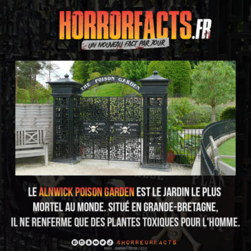 Fact 0095 - Horreur Fact Horrorfacts.fr