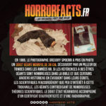 Fact 0101 - Horreur Fact Horrorfacts.fr