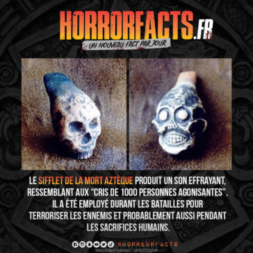 Fact 0104 - Horreur Fact Horrorfacts.fr