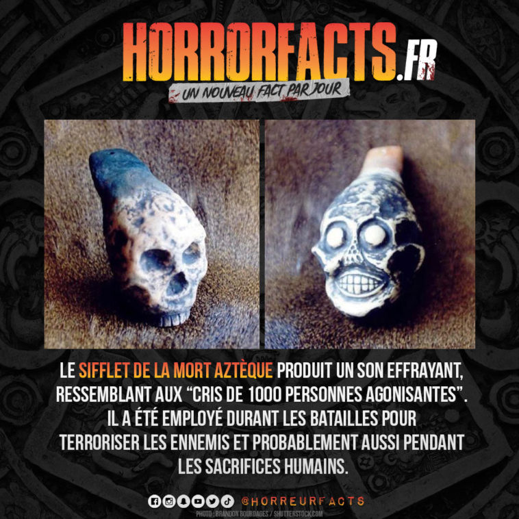 Fact 0104 - Horreur Fact Horrorfacts.fr