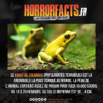 Fact 0105 - Horreur Fact Horrorfacts.fr